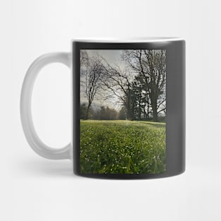 Spring morning in goathland Mug